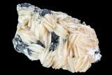 Cerussite Crystals with Bladed Barite on Galena - Morocco #100771-1